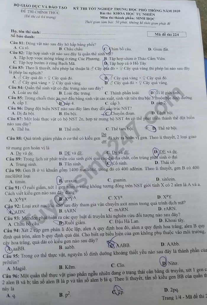 Thi THPQG 2020: Đề thi và đáp án môn Sinh học mã đề 222