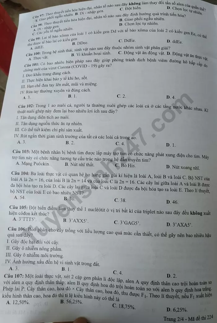 Thi THPQG 2020: Đề thi và đáp án môn Sinh học mã đề 222