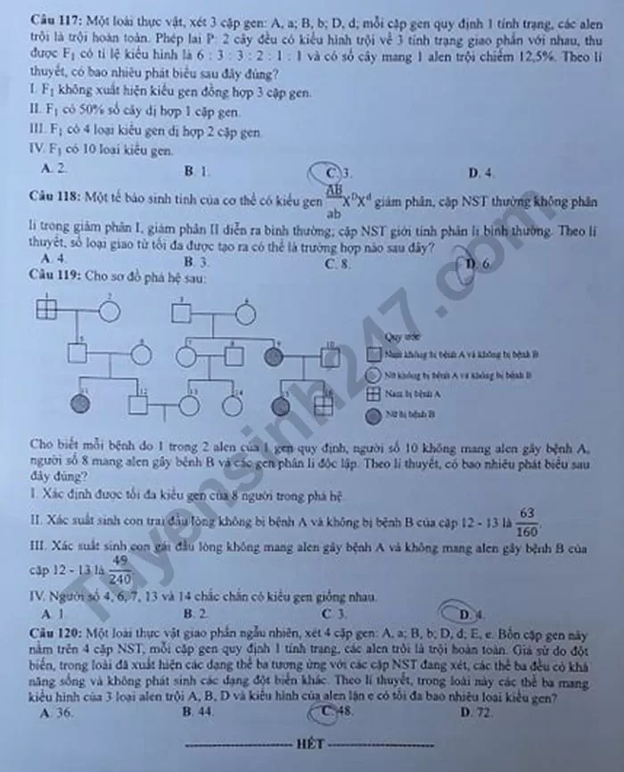 Thi THPQG 2020: Đề thi và đáp án môn Sinh học mã đề 202