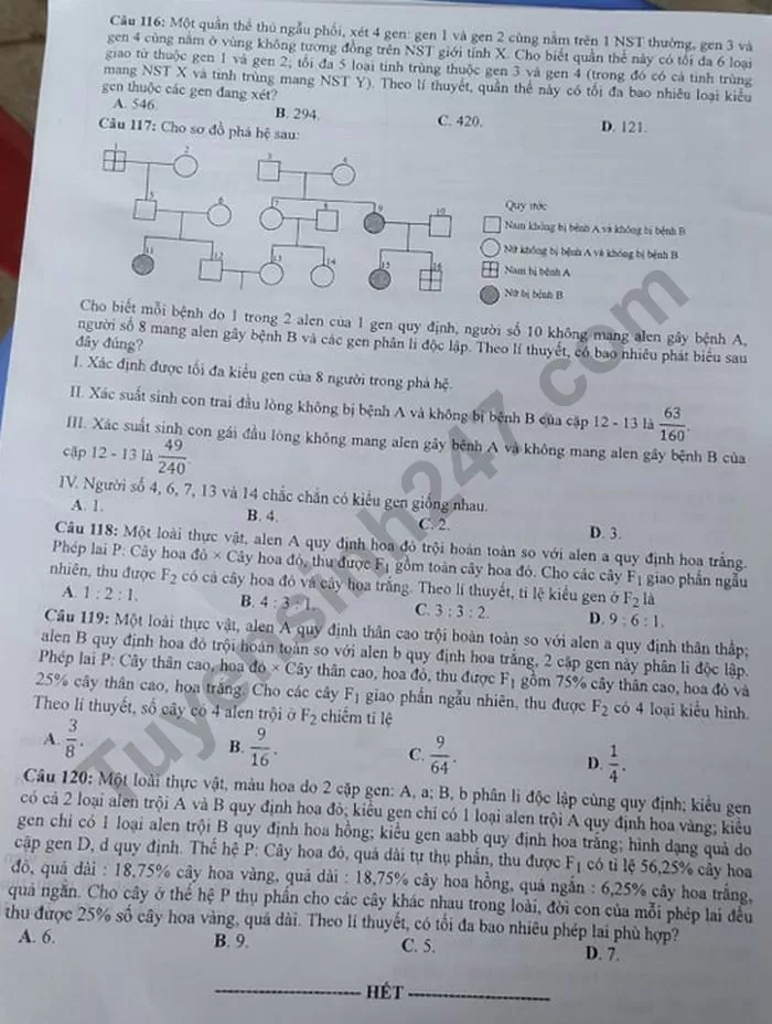 Thi THPQG 2020: Đề thi và đáp án môn Sinh học mã đề 222